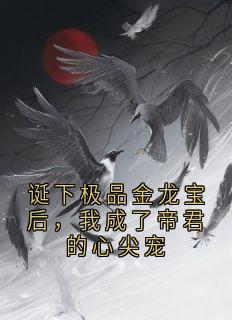 《诞下极品金龙宝后，我成了帝君的心尖宠》小说全文免费阅读 林晚晚萧龙辰小说阅读