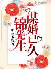 《锦先生谋婚已久》小说全文免费阅读 梁浅俞北晶小说全文