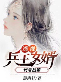 《透视兵王女婿（代号战狼）》宁远林诗晴章节精彩试读