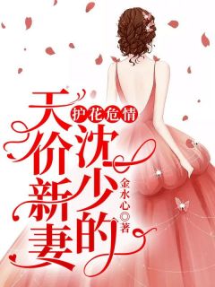 主角是苏莘沈江川的小说在哪看 《护花危情：总裁的天价新妻》小说阅读入口